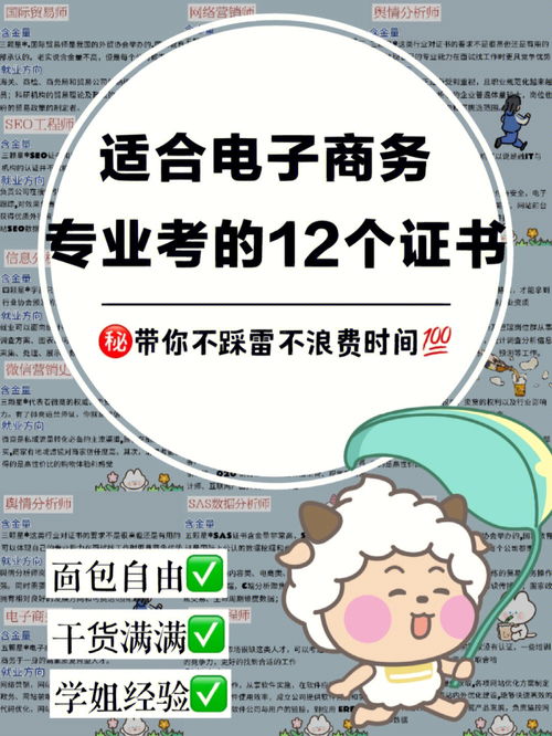 电子商务专业能不能考