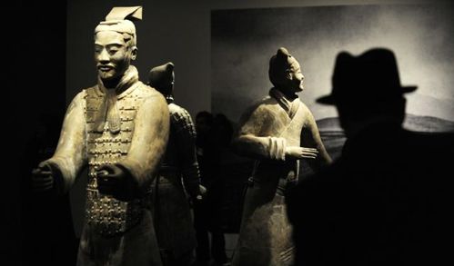 男子不慎跌入兵马俑坑，疑似砸坏3尊珍贵文物引发关注