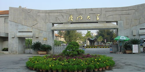 mandy厦门大学电子商务专业