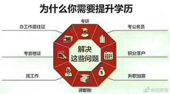 电子商务高考专业课题目