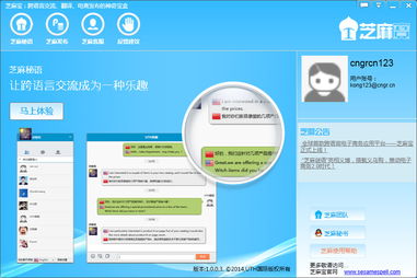 电子商务是我的专业翻译