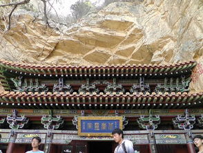五台山僧人行为引关注，将米扔出殿外，劝其返回家